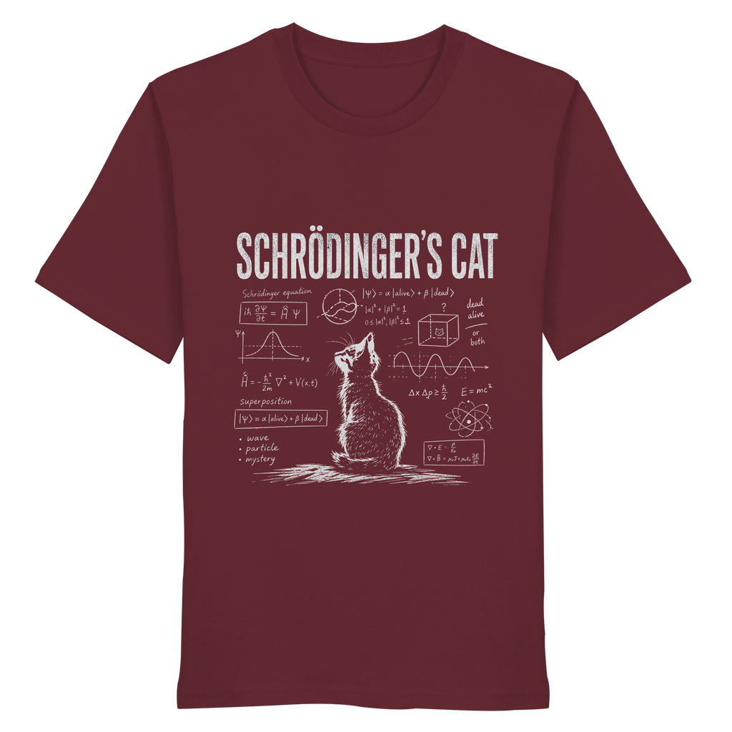 SCHROEDINGERS CAT