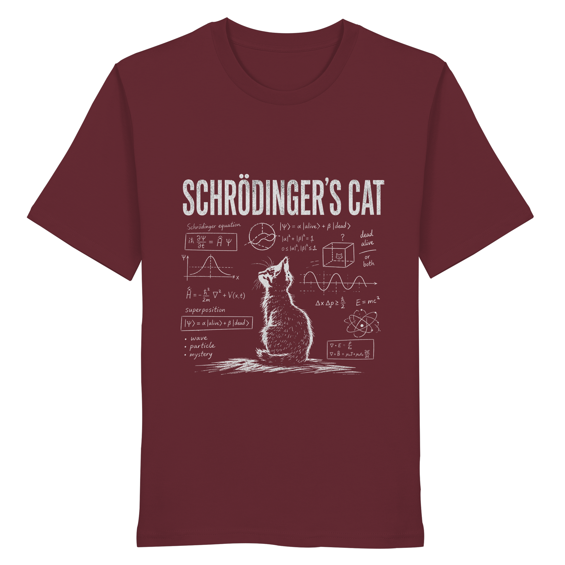SCHROEDINGERS CAT