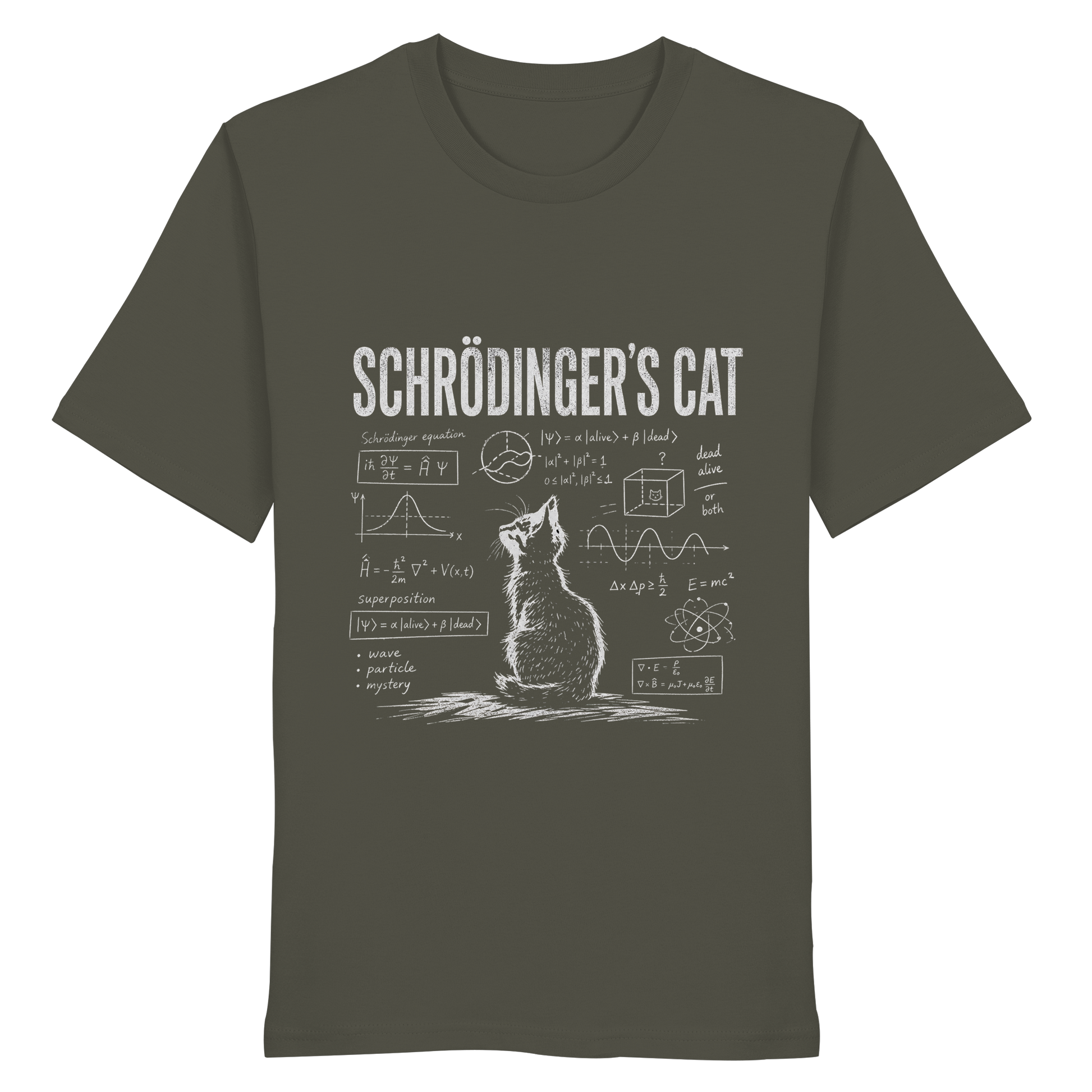 SCHROEDINGERS CAT